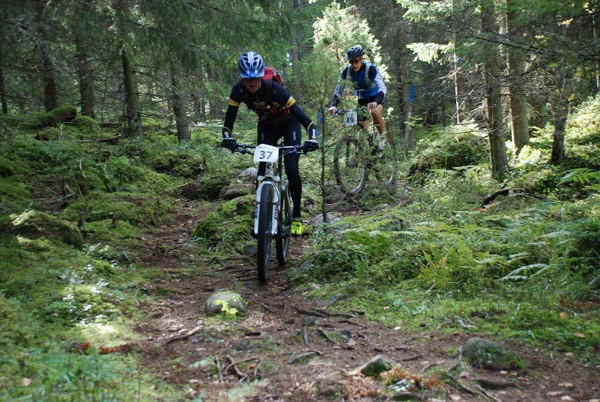 Seitsemän Veljestä XCM juurakkoa