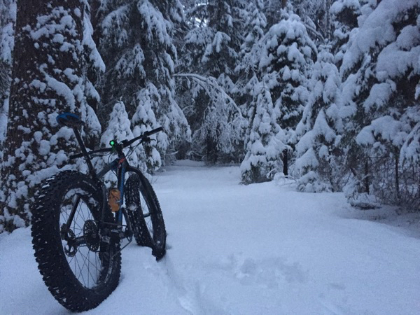 Hyvin kulki hangessa